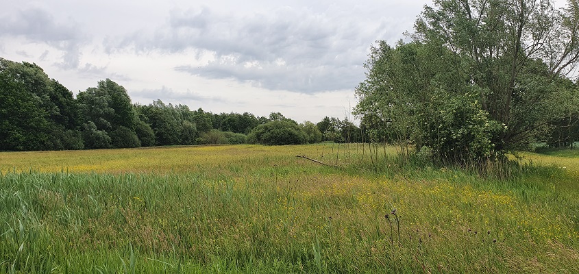 trage-tocht-bedaf-uden-5 Wandeling over Trage Tocht Bedaf met Rob Wolfs