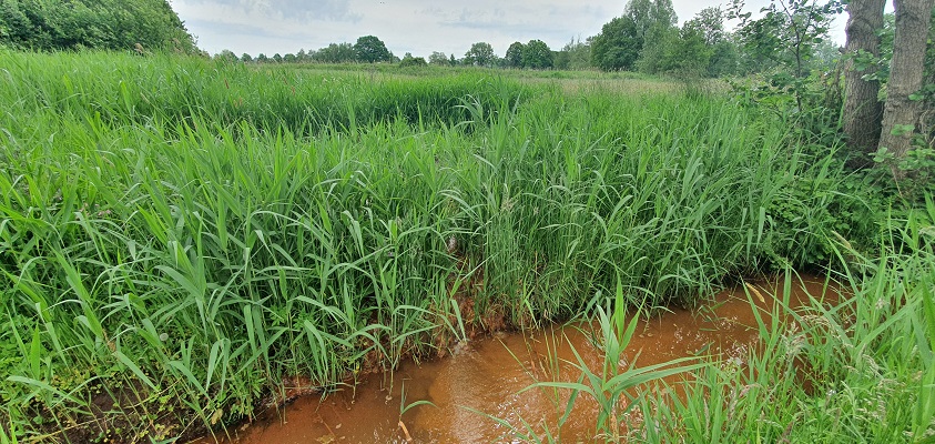 Wandeling over Trage Tocht Bedaf met Rob Wolfs