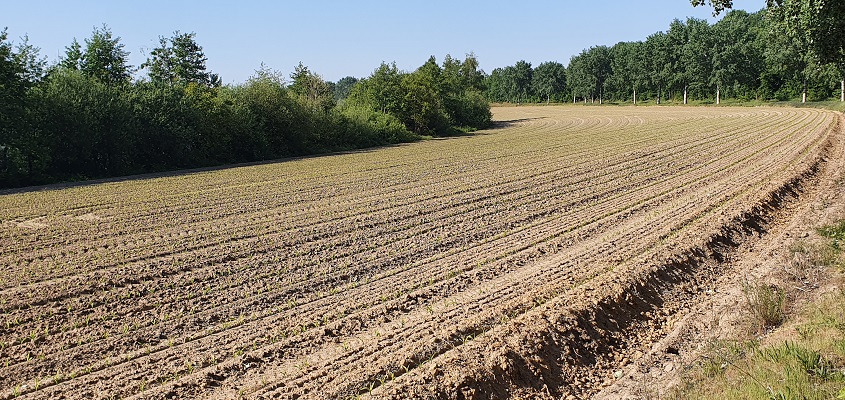 trage-tocht-beegden-10 Wandeling over Trage Tocht Beegden