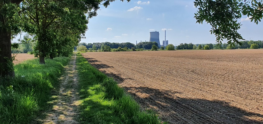 trage-tocht-beegden-23 Wandeling over Trage Tocht Beegden