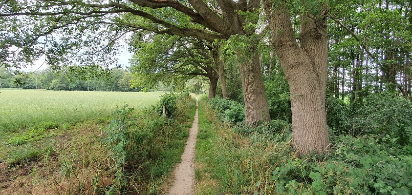 Landgoedwandeling over het Keppelpad