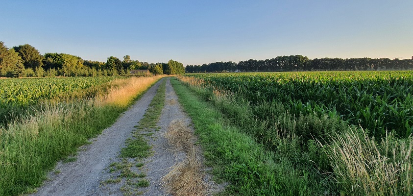 Wandeling in het Hart van Brabant over de Moerburgenroute