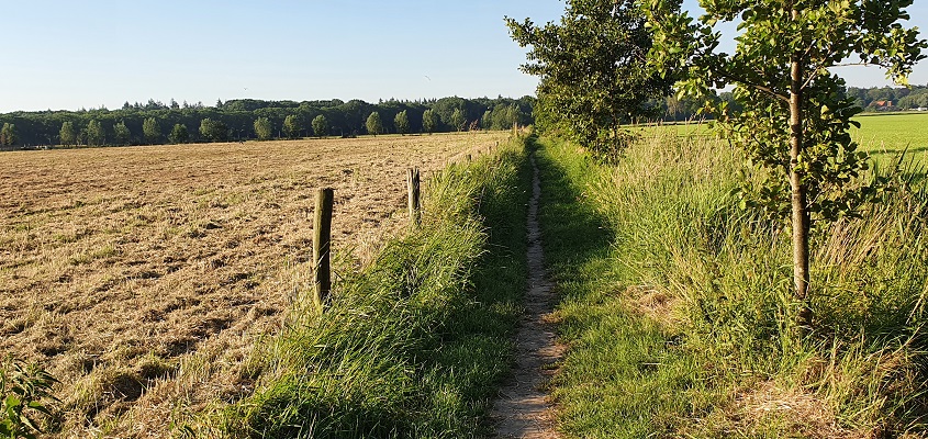 Wandeling in het Hart van Brabant over de Moerburgenroute