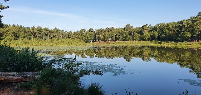 Wandeling in het Hart van Brabant over de Moerburgenroute bij het Schaapsven