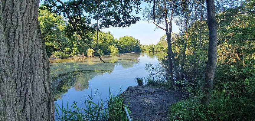 Wandeling in het Hart van Brabant over de Moerburgenroute bij het Grollegat