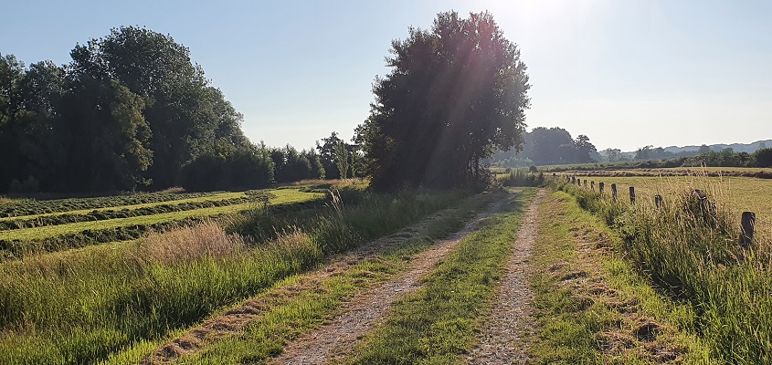 Wandeling in het Hart van Brabant over de Moerburgenroute