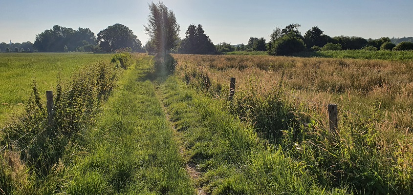 Wandeling in het Hart van Brabant over de Moerburgenroute