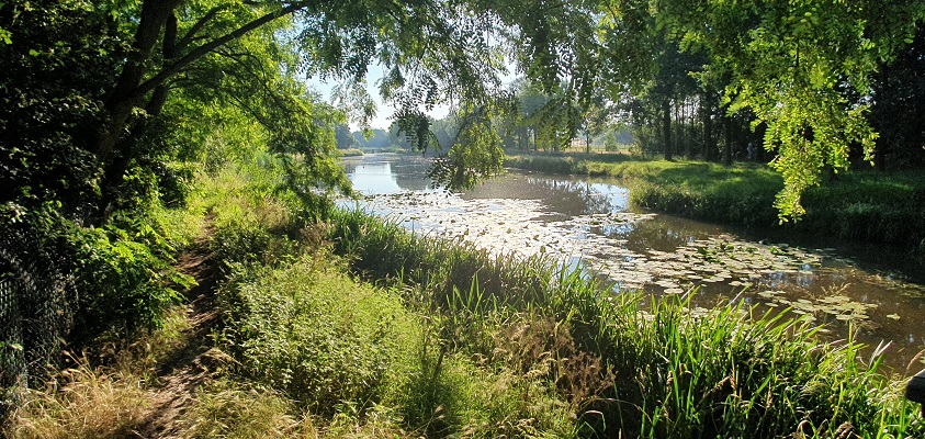 Wandeling in het Hart van Brabant over de Moerburgenroute bij de Voorste Stroom