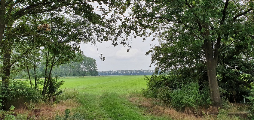 ommetje-kooldert-uden-15 Ommetje Kooldert en Goorse Bossen