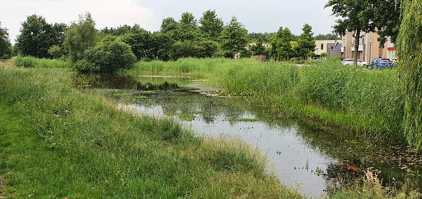 ommetje-kooldert-uden-22 Ommetje Kooldert en Goorse Bossen