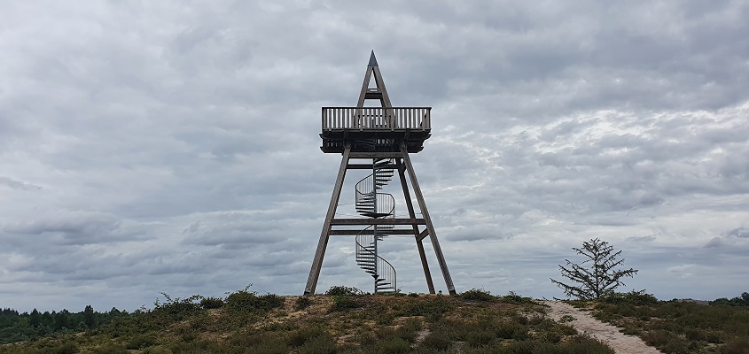 Wandeling over Trage Tocht Afferden bij de uitkijktoren in de Maasduinen