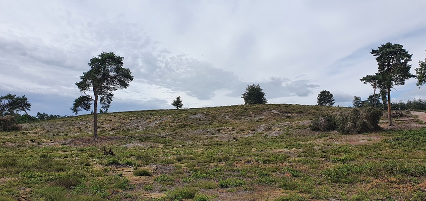 Wandeling over Trage Tocht Afferden