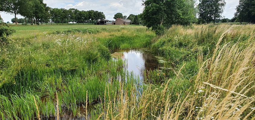 Wandeling over Trage Tocht Afferden bij de Eckeltse Beek