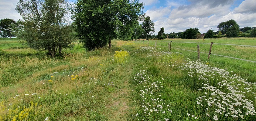 Wandeling over Trage Tocht Afferden bij de Eckeltse Beek