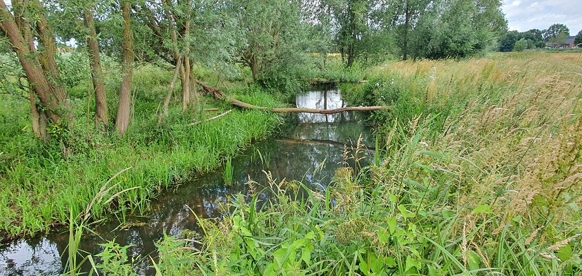 Wandeling over Trage Tocht Afferden bij de Eckeltse Beek