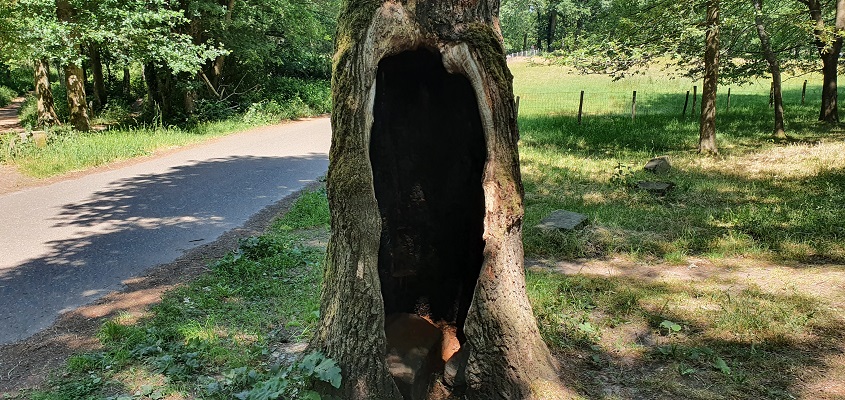 trage-tocht-brunssummerheide-24 Trage Tocht Brunssummerheide