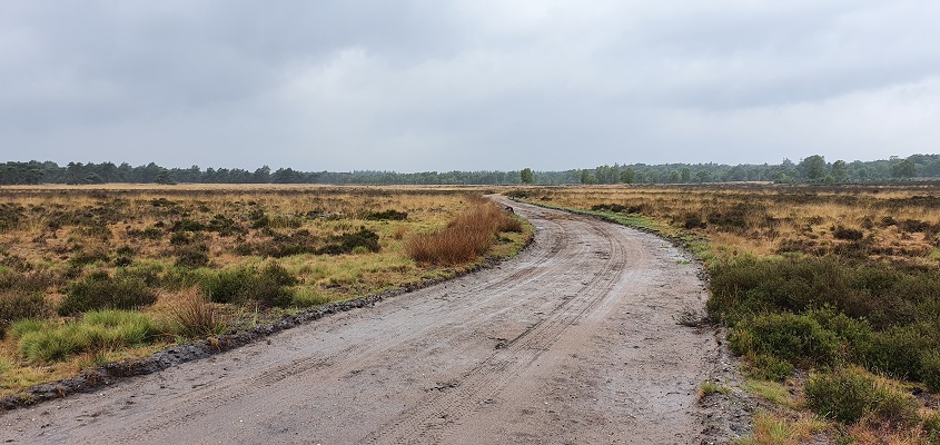 Wandeling over Trage Tocht Mossel op de Erder Heide