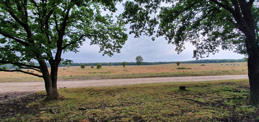 Wandeling over Trage Tocht Mossel bij Mosselsche Veld