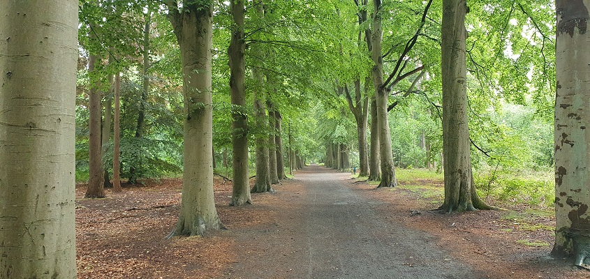Wandeling over Trage Tocht Tilburg bij de Oude Warande