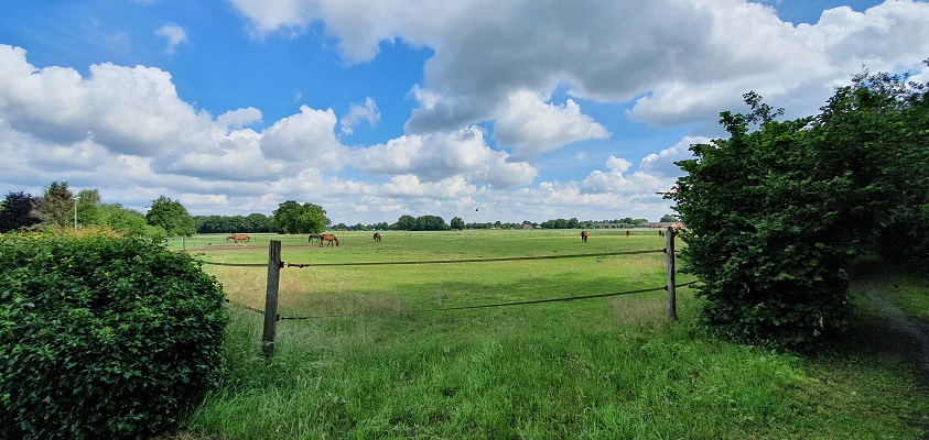Wandeling over Trage Tocht Wortel-Kolonie