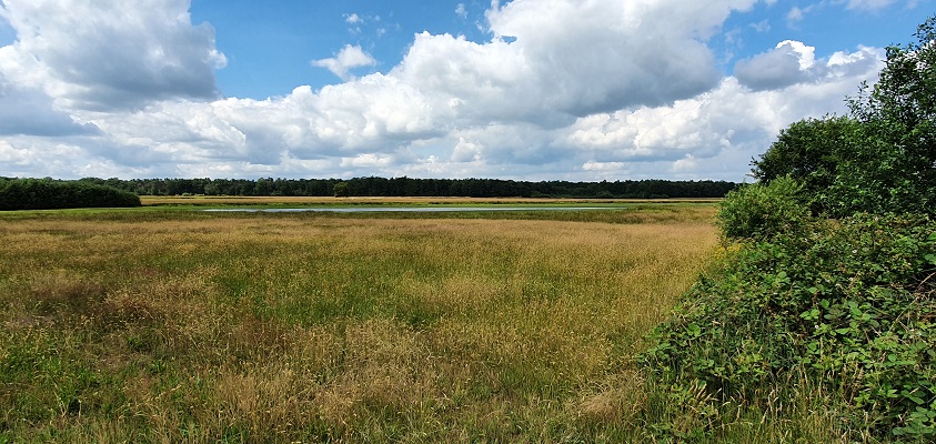 trage-tocht-wortel-kolonie-29 Wandeling over Trage Tocht Wortel-Kolonie bij de Castelreesche Heide