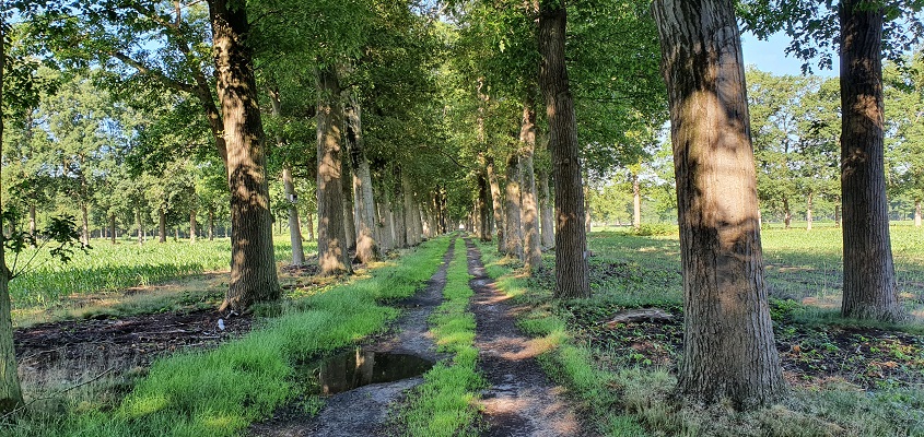 trage-tocht-wortel-kolonie-8 Wandeling over Trage Tocht Wortel-Kolonie