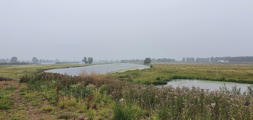 Wandeling door de Hemelrijkse Waard bij Oijen