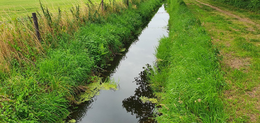 ommetje-boerdonk-1 Wandeling in een rondje Boerdonk