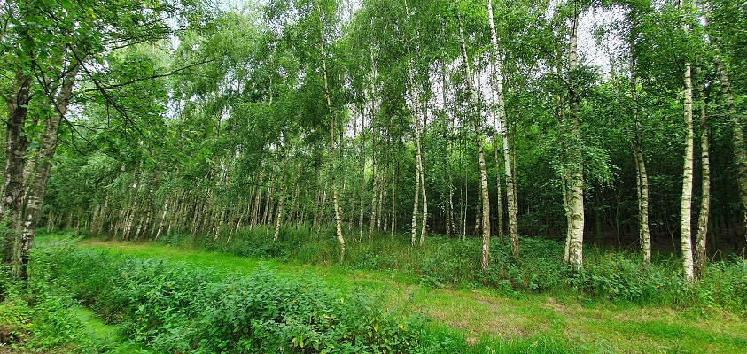 Wandeling in een rondje Boerdonk