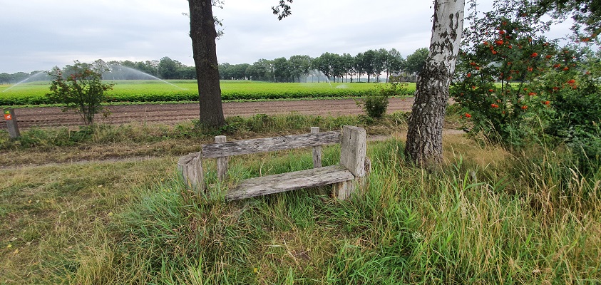 ommetje-boerdonk-3 Wandeling in een rondje Boerdonk