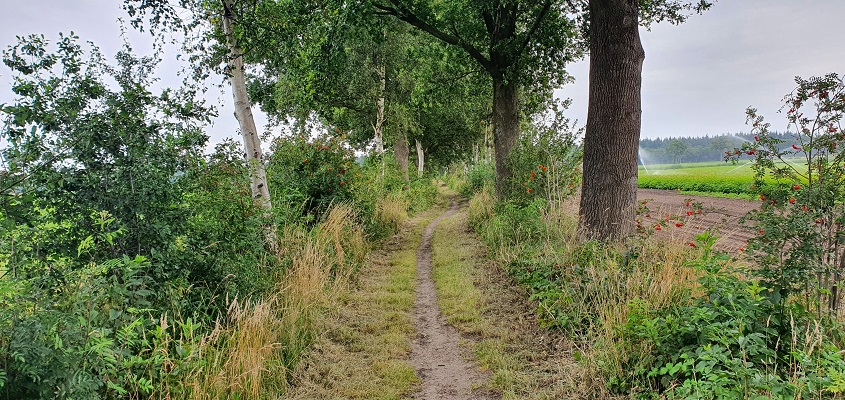 ommetje-boerdonk-4 Wandeling in een rondje Boerdonk