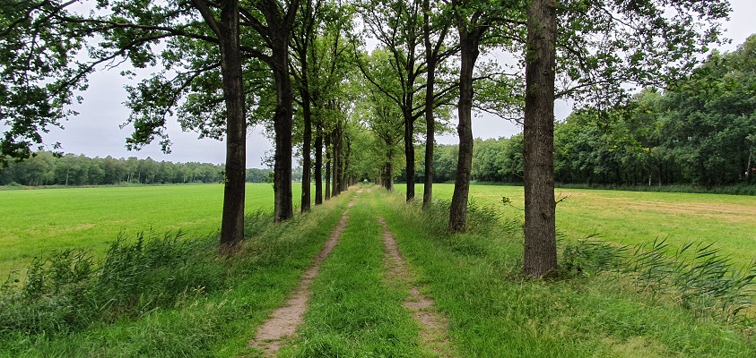 trage-tocht-leusveld-1 Trage Tocht Leusveld bij landgoed Zaaibroek