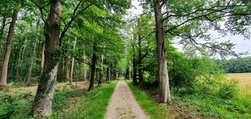 Trage Tocht Leusveld