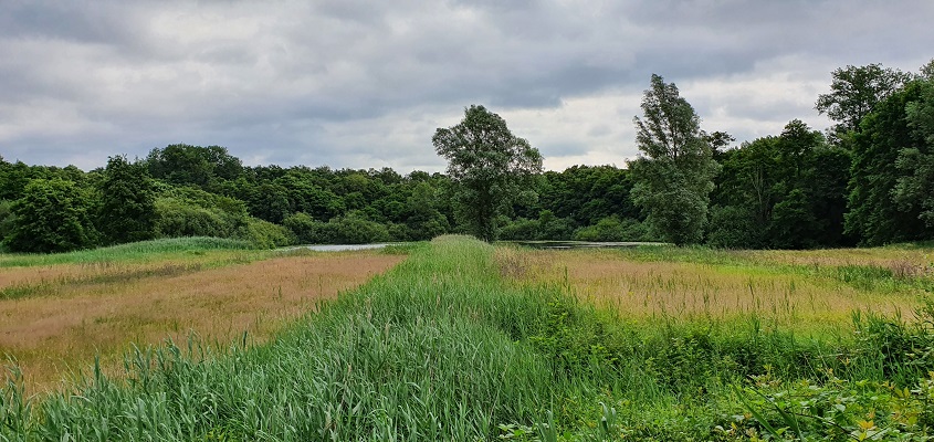 trage-tocht-leusveld-14 Trage Tocht Leusveld bij de Uutkiek bij de Vogelplas