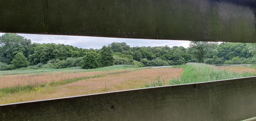 Trage Tocht Leusveld bij de Uutkiek bij de Vogelplas