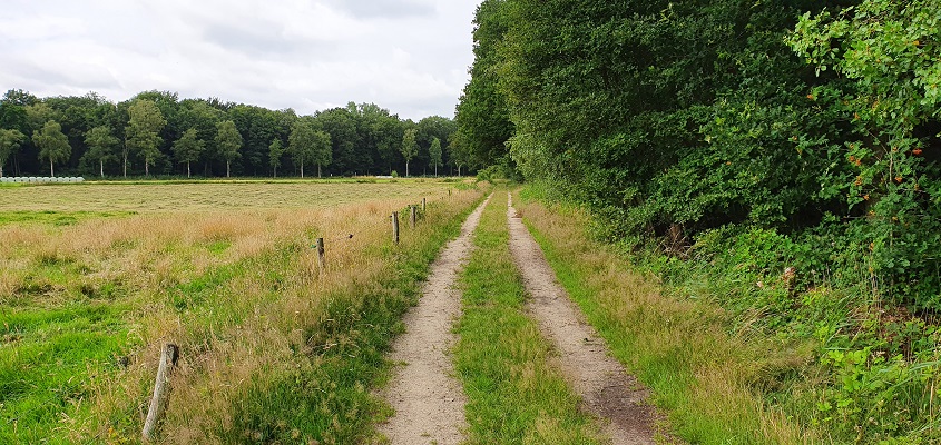 Trage Tocht Leusveld