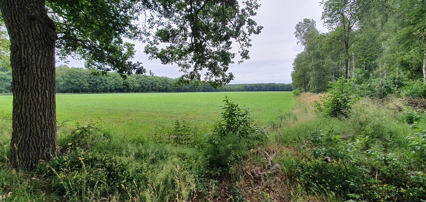 trage-tocht-leusveld-2 Trage Tocht Leusveld bij landgoed Zaaibroek
