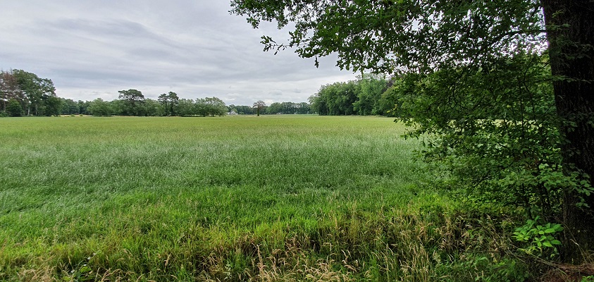 Trage Tocht Leusveld bij landgoed Groot Engelenburg