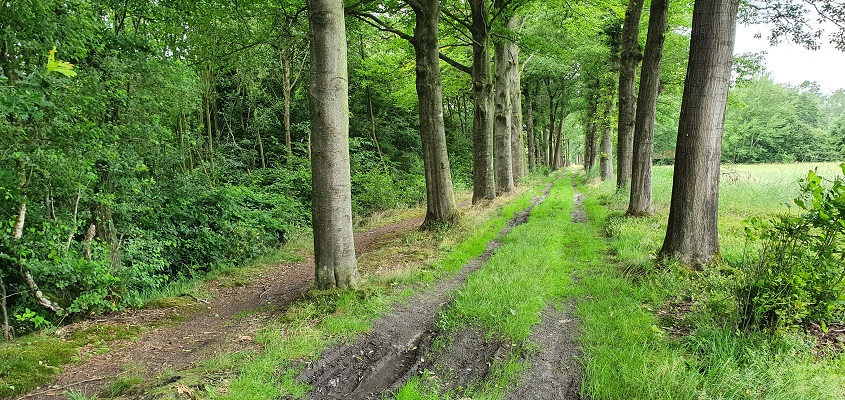 trage-tocht-leusveld-23 Trage Tocht Leusveld bij landgoed Groot Engelenburg