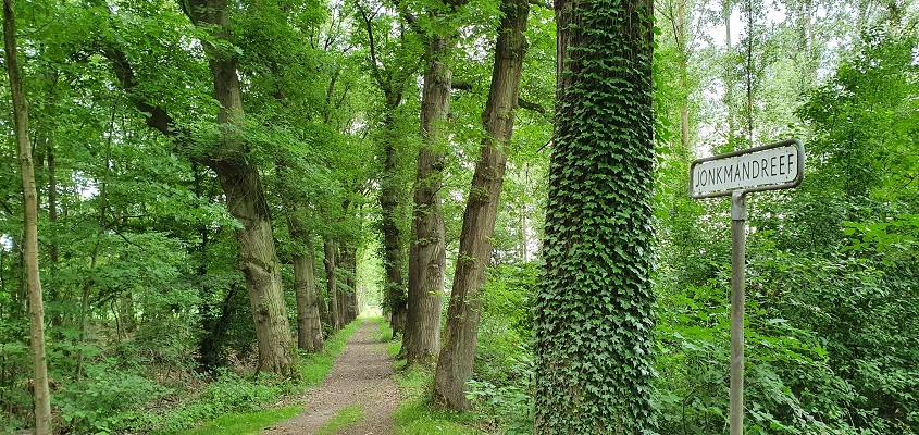 trage-tocht-leusveld-25 Trage Tocht Leusveld bij landgoed Groot Engelenburg