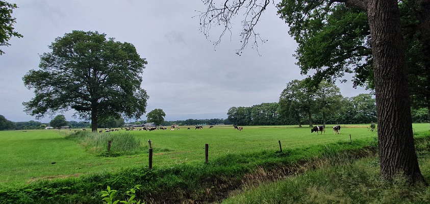 Trage Tocht Leusveld bij landgoed Zaaibroek