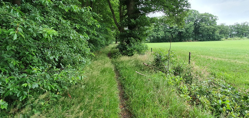 Trage Tocht Leusveld bij landgoed Zaaibroek