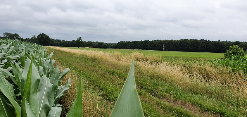 trage-tocht-leusveld-9 Trage Tocht Leusveld