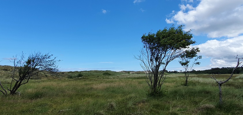 Wandeling op Terschelling van West naar Hoorn