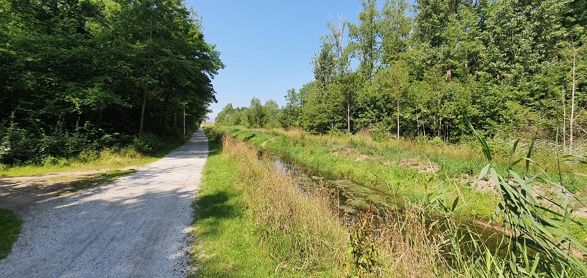 wandeling-op-urk-3 Wandeling op Urk langs vijvers in park doro Urkerbos