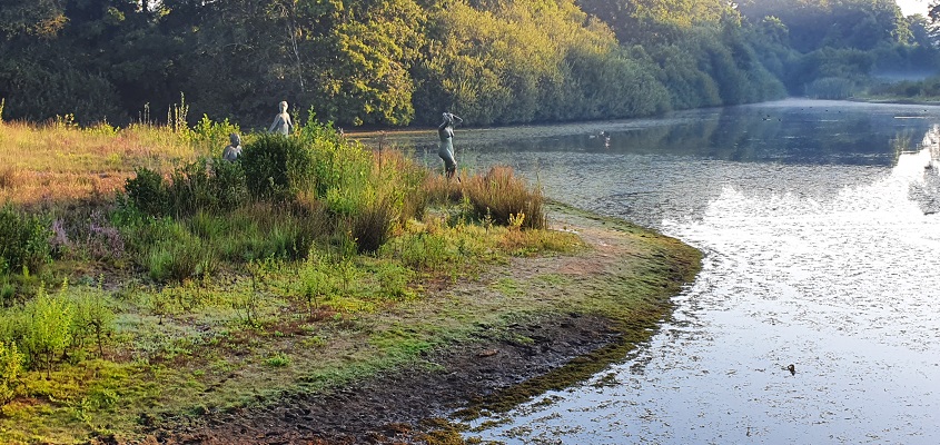 andreas-schotel-wandelroute-esbeek-17 Wandeling over Andreas Schotel wandelroute in Esbeek bij Baadster in Broekeling