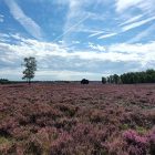 Wandeling over het Roots Natuurpad van Tongeren naar Heerde bij Renderklippen