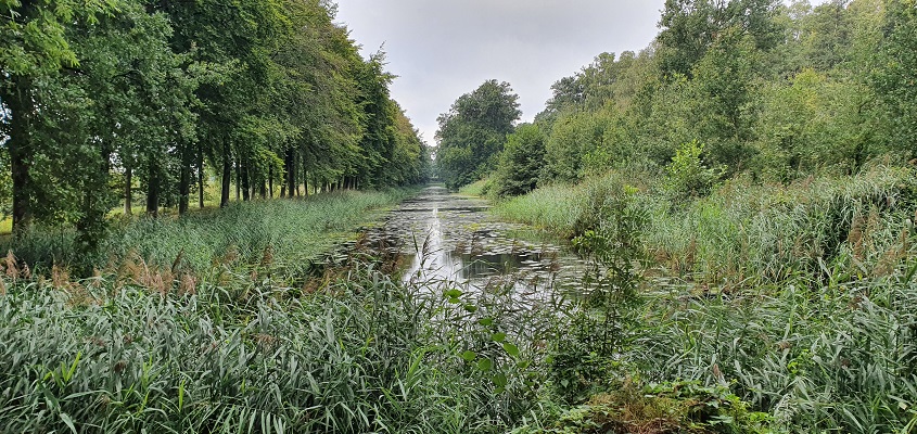 Wandeling over Trage Tocht De Steeg bij landgoed Middachten