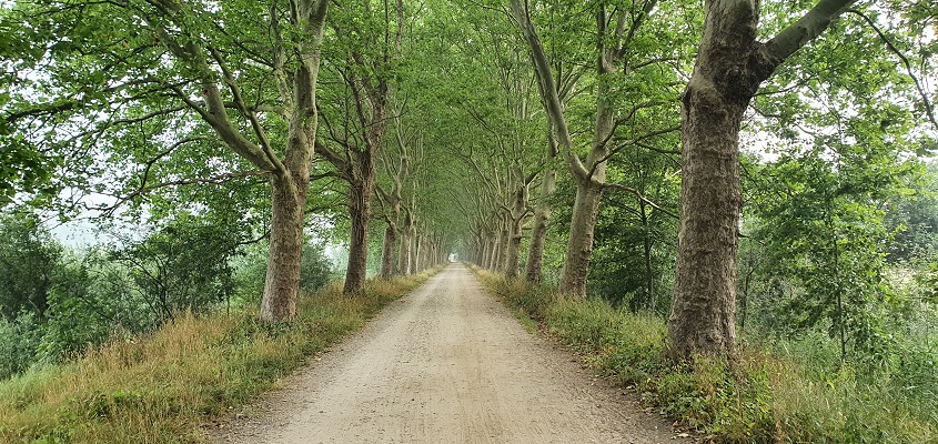 Wandeling van Vught naar Den Bosch van de Paadjesmakers
