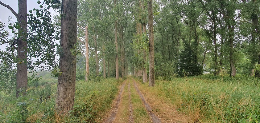 wandelen-in-de-omgevong-van-den-bosch-muyserick-en-maurick-16 Wandeling van Vught naar Den Bosch van de Paadjesmakers bij landgoed Haanwijk